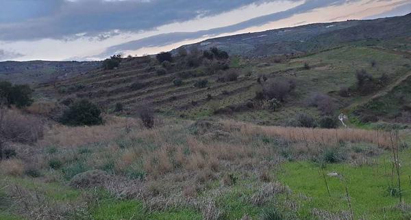  Land in Paphos