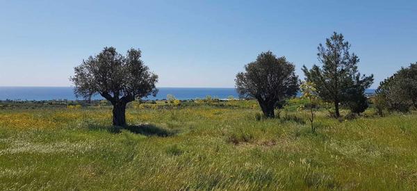  Land in Larnaca