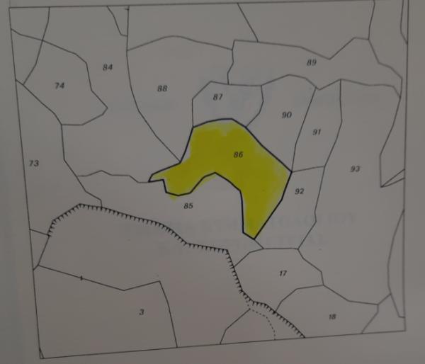  Land in Paphos