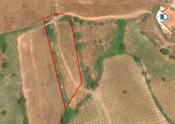  Land in Paphos