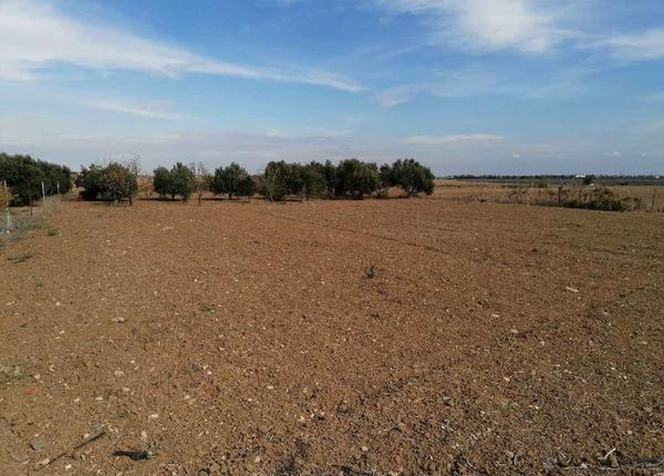  Land in Larnaca