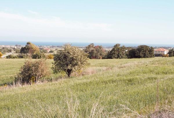  Land in Larnaca