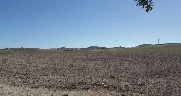  Land in Larnaca
