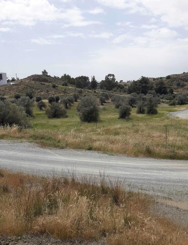  Land in Larnaca