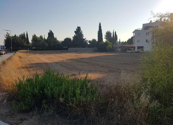  Land in Paphos