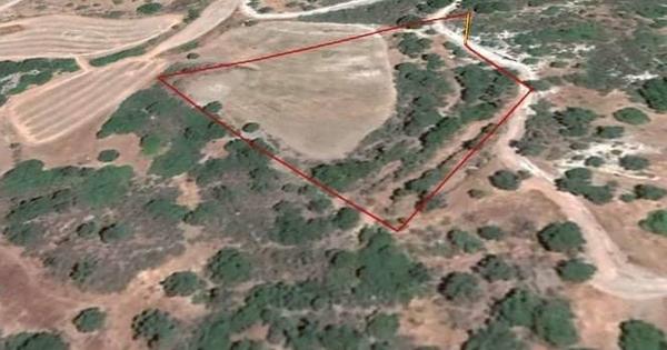  Land in Paphos