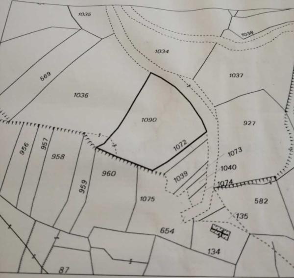  Land in Nicosia