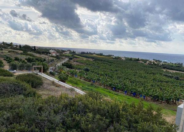  Land in Paphos