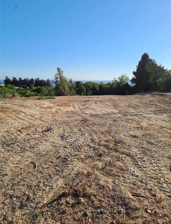  Land in Paphos