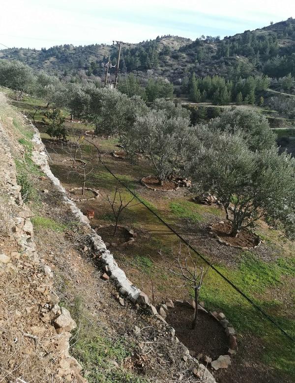  Land in Nicosia