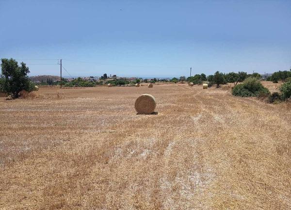  Land in Larnaca