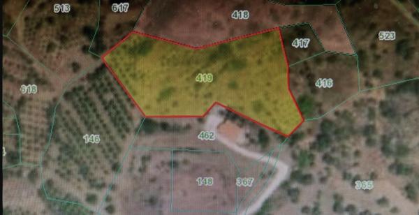 Land in Nicosia