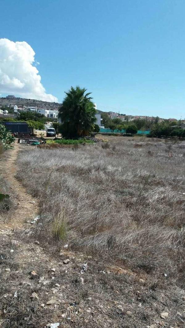  Land in Paphos