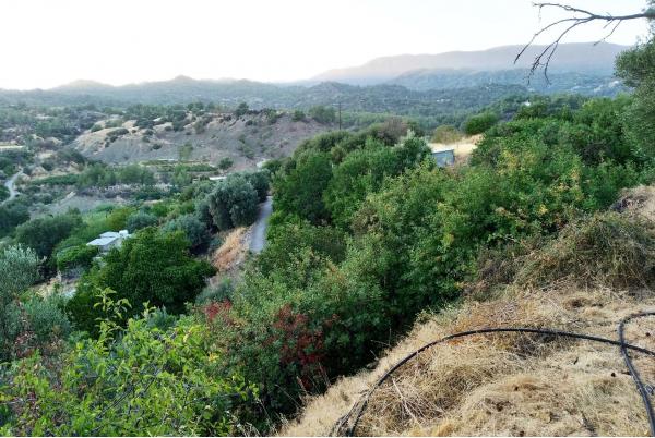  Land in Limassol