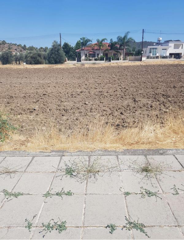  Land in Nicosia