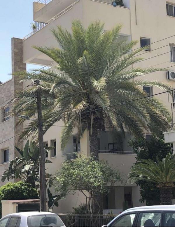  Apartment in Larnaca