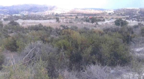 Land in Limassol