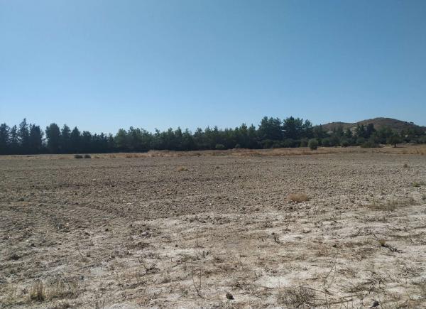  Land in Nicosia