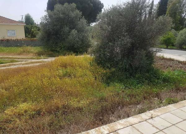  Land in Nicosia