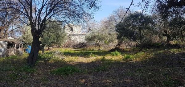  Land in Paphos