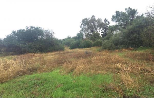  Land in Nicosia