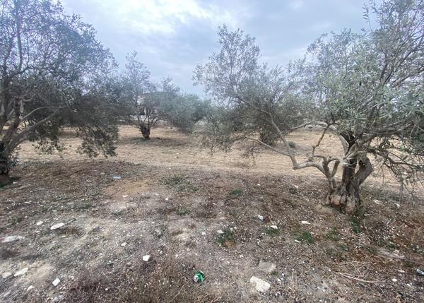  Land in Larnaca