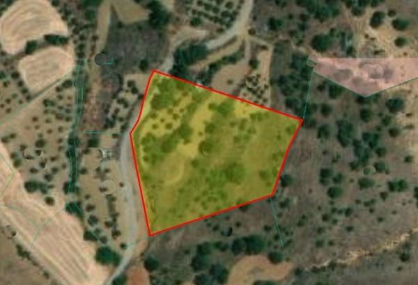  Land in Nicosia