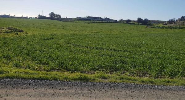  Land in Larnaca