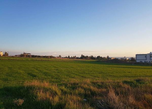  Land in Paphos
