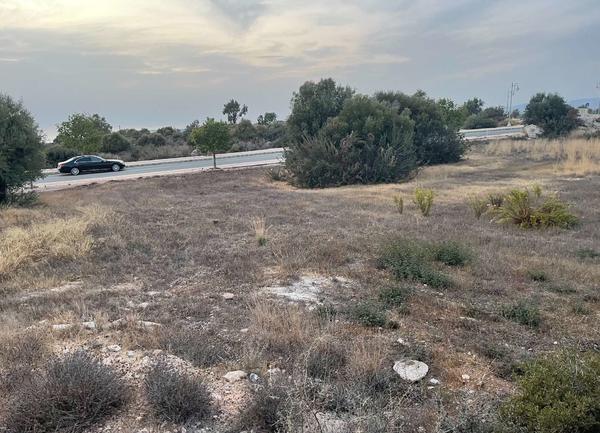 Land in Paphos