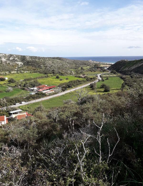  Land in Limassol