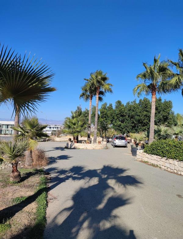  Land in Nicosia
