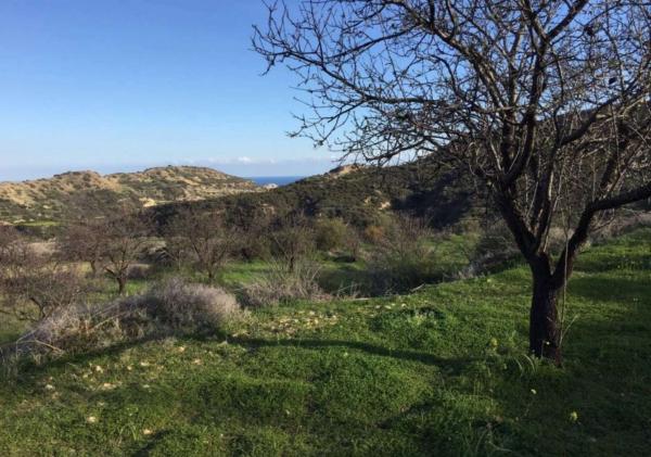  Land in Limassol