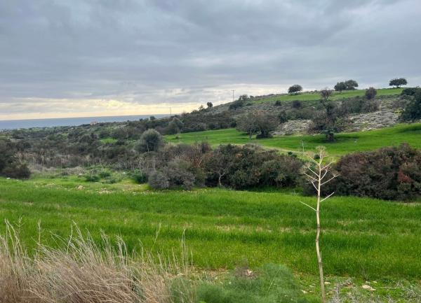  Land in Larnaca