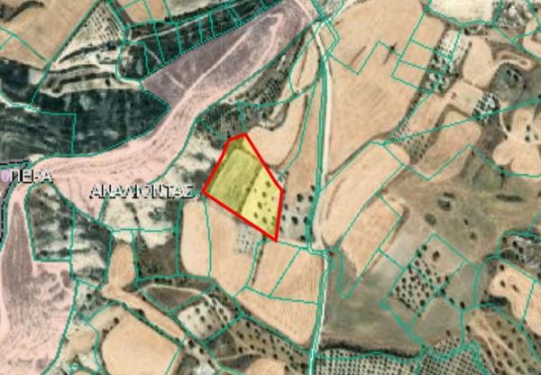  Land in Nicosia