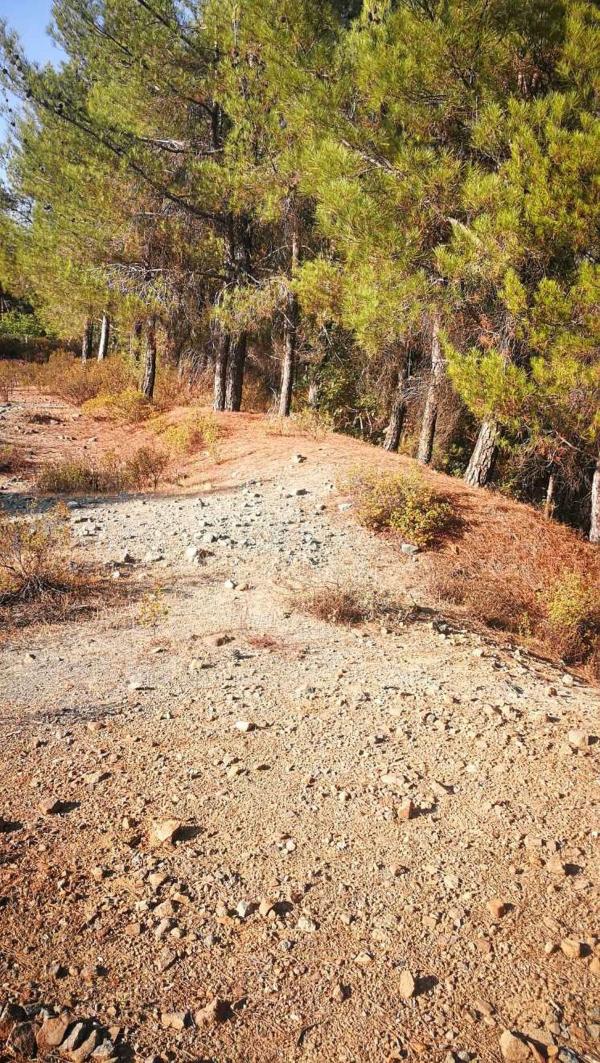  Land in Limassol
