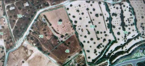  Land in Limassol