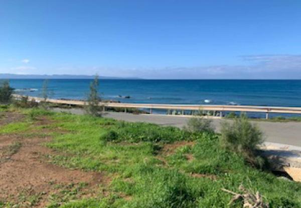  Land in Paphos