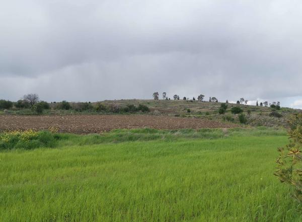  Land in Nicosia