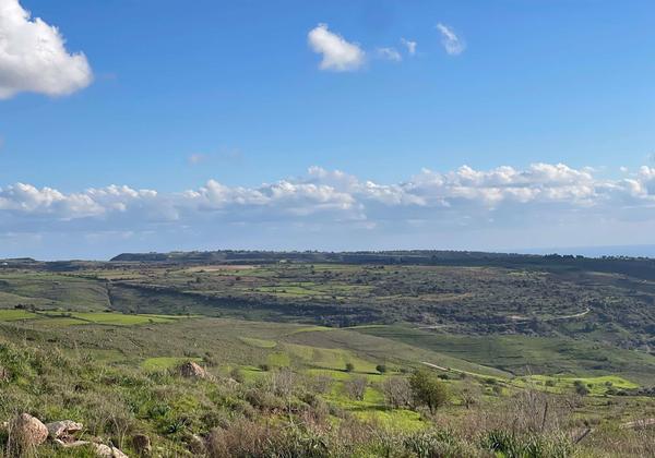  Land in Paphos