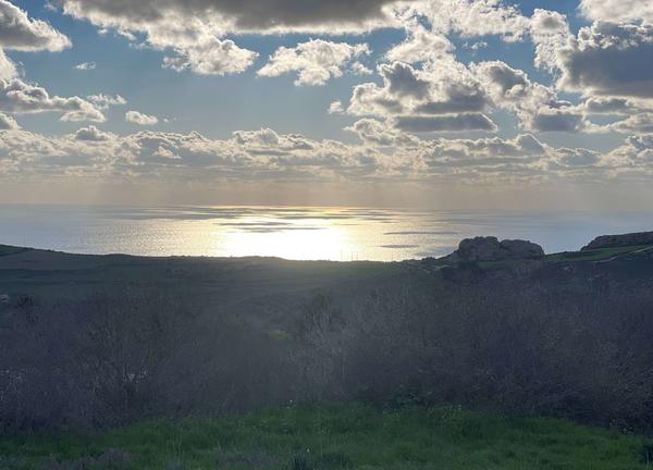  Land in Paphos