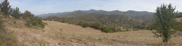  Land in Larnaca