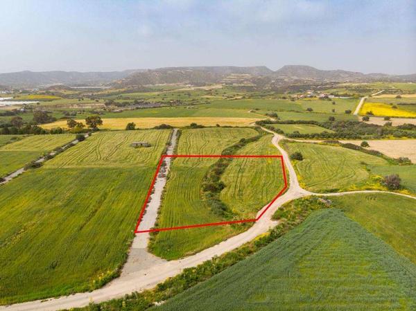  Land in Larnaca