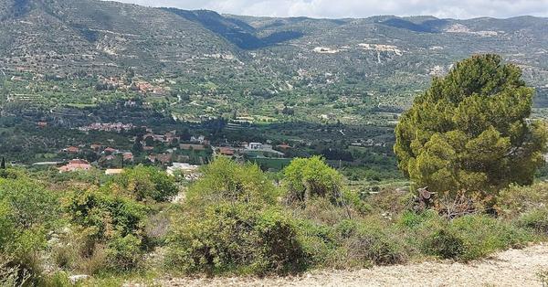  Land in Limassol