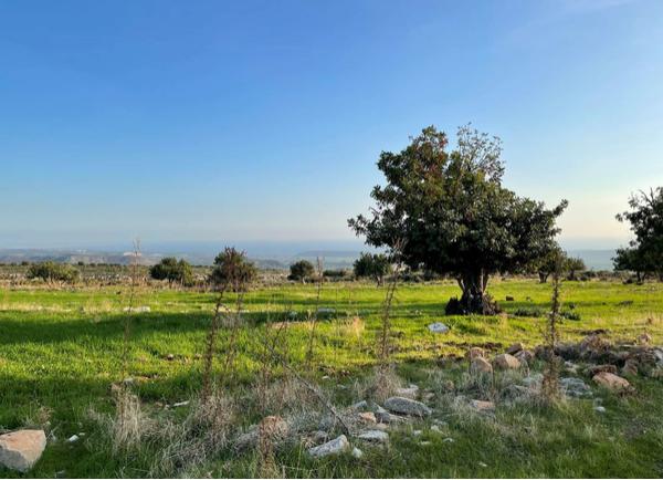  Land in Limassol