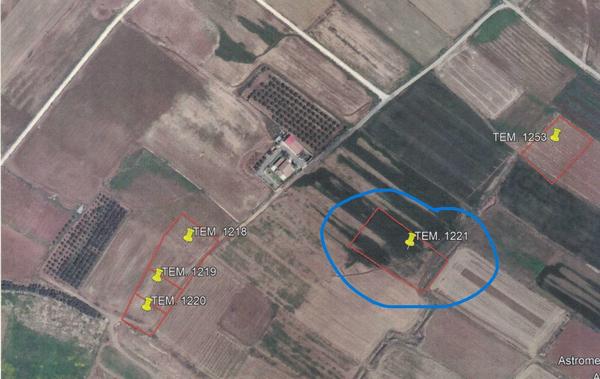  Land in Nicosia