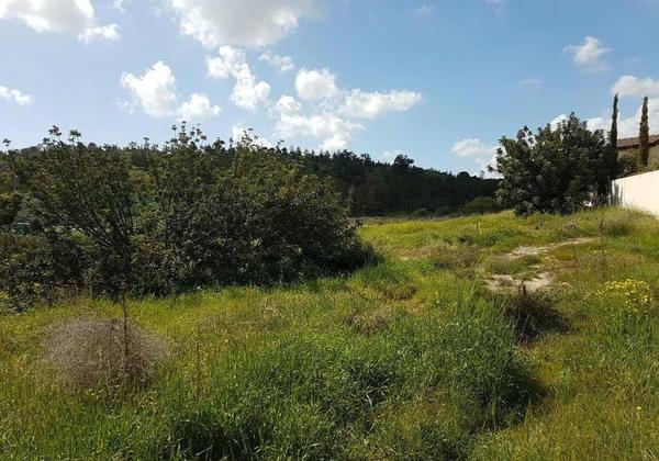  Land in Larnaca