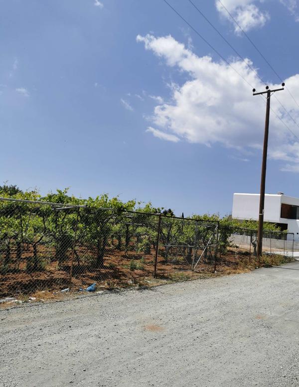  Land in Limassol