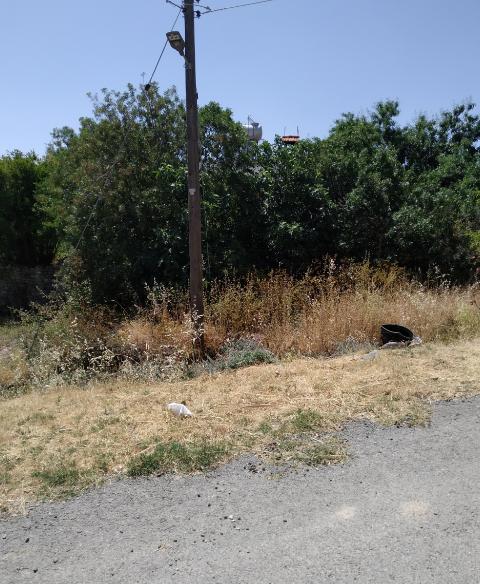 Land in Larnaca
