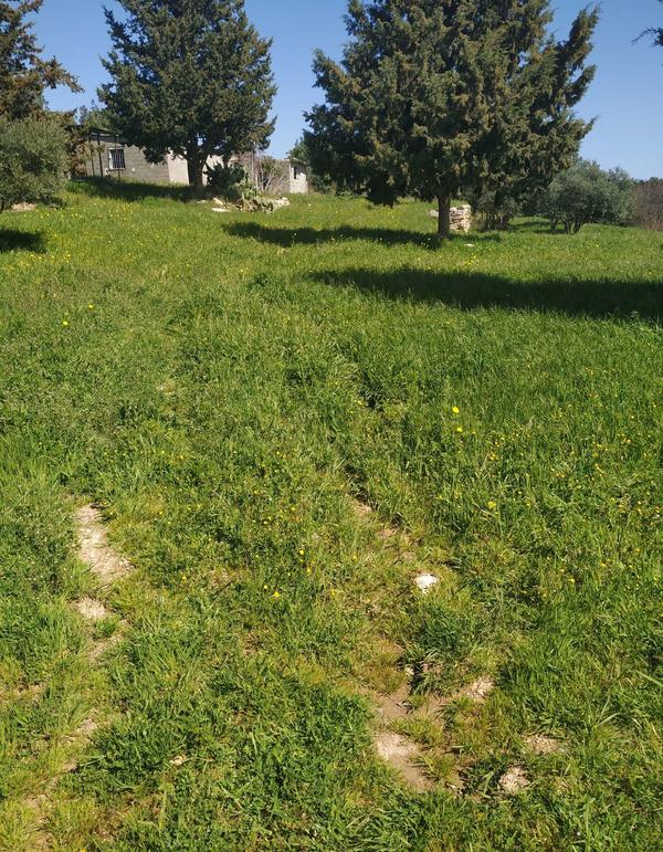  Land in Limassol